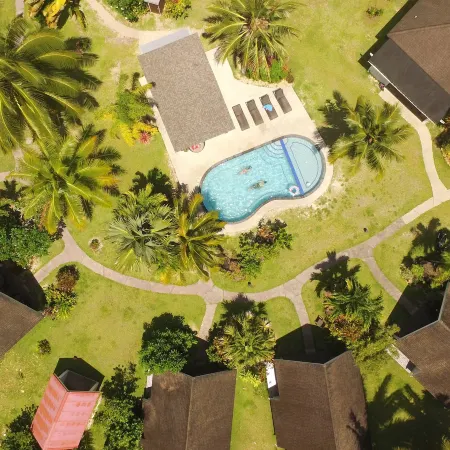 Palm Grove