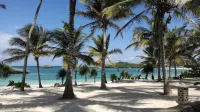 Sun Palm Beach Resort - Beach