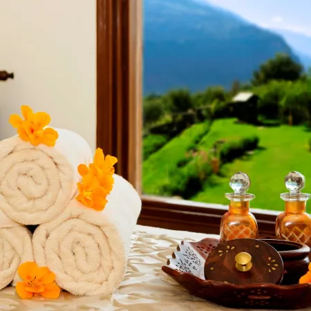 Solang Valley Resort