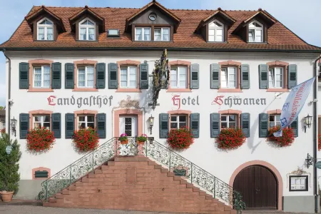 Flair Hotel Schwanen Отели в г. Шлинген