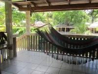 Coconut Tree West End