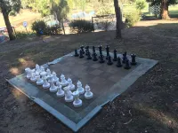 ذا بلاك سبارو