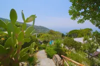 Capri Dream - Boutique