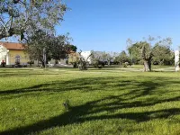 Tenuta Antico Leccio Hotels in 