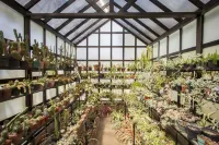 호텔 포사다 로마  호텔