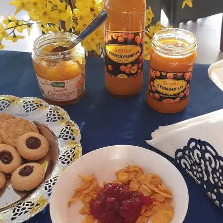 Hotell Skinnargården