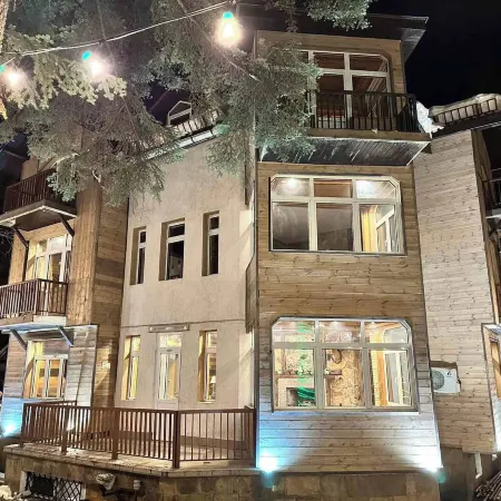 The Forest Villa Borovets1
