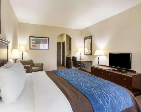 Comfort Inn & Suites Hoteles en Winnie