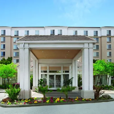 Hilton Garden Inn San Francisco Airport North Hotels near San Francisco Intl. Airport