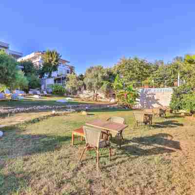 奧萊諾瓦飯店 Hotel Exterior