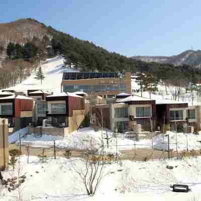평창 스페이스 허브티 호텔 앤 리조트 Hotel Exterior