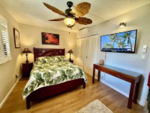 Seaside Surf Spot Oceanfront 1-bedroom in Ma'alaea with AC