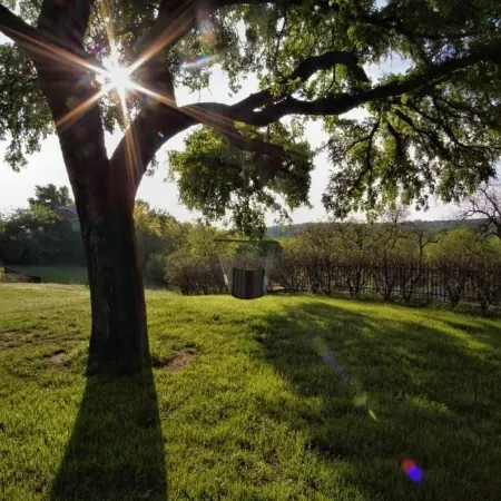Live Oak B&B