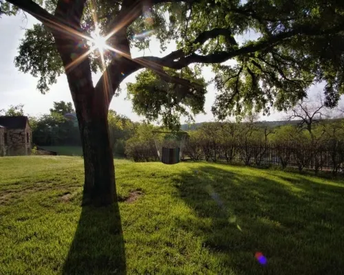Live Oak B&B Hotels in Somervell County