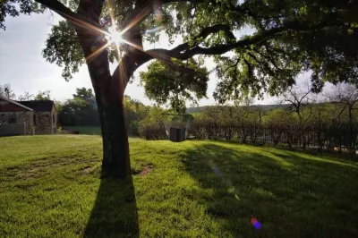 Live Oak B&B Hotel di Glen Rose