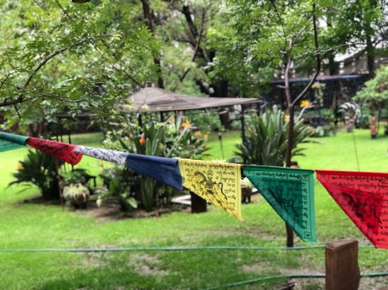 Magnolias Jardin & Boutique Suites