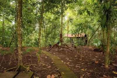 Natural Green Lodge Hotels in 