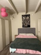 A Studio City Dream, pet friendly, and walking distance to Universal Studios.
