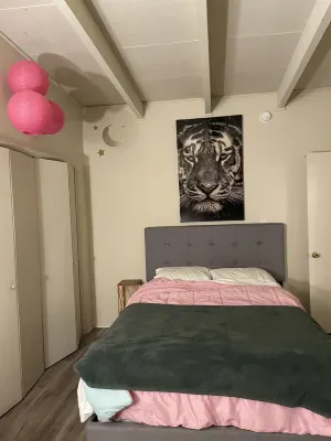 A Studio City Dream, pet friendly, and walking distance to Universal Studios.