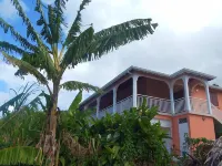 Up there in the garden - Villa with sea and mountain views - Deshaies