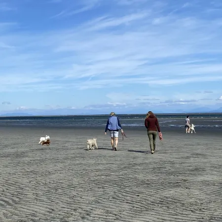 Welcome Kye Bay Nest at  the beach - relax, restore, and explore. H820823952