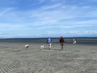 Welcome Kye Bay Nest at  the beach - relax, restore, and explore. H820823952
