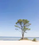 Magnificent wooden Villa Golf Biscarrosse with swimming pool