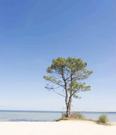 Magnificent wooden Villa Golf Biscarrosse with swimming pool Отели в г. Бискарросс