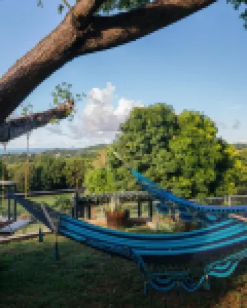 Tiny house on an acre with ocean view and private infinity pool.