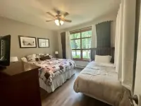 Beautiful two bedroom condo at Tremblant Les eaux