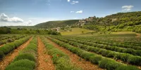 Spacious house in authentic Luberon