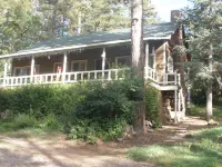 Lovely cabin a midst majestic pine trees
