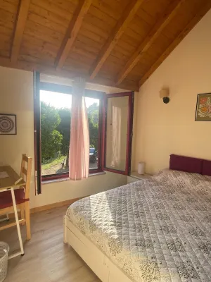 A Quiet Stone House in Nature by a Waterfall 5 min From Douro River Hotel a Marco de Canaveses