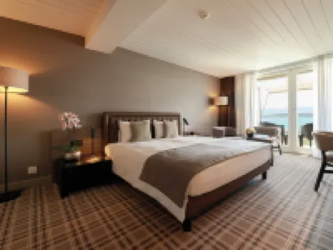 Ambassador Boutique Hotel Hotels in Nyon