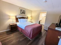 Villa Motel Hotels in Nelson