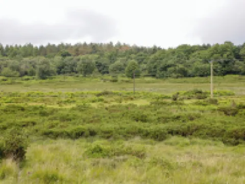 Greenacres Hotels in Kidderminster