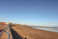 The Lazy Seal - Beach