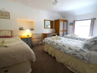 皇家橡樹小屋 - Wi-Fi