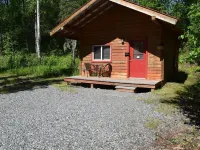 Birch Cabin Hotels in Talkeetna