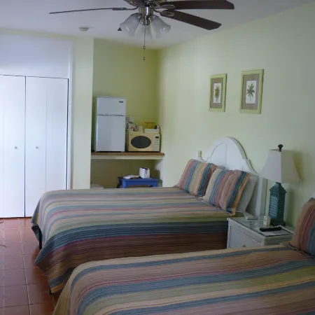 Palm Court Motel Отели в г. Данедин