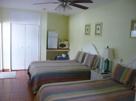 Palm Court Motel Отели рядом с достопримечательностью «Oasis Beach»