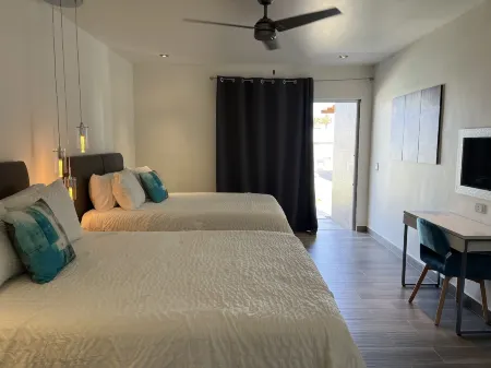 The Cove Boutique Hotel Adults Only Отели в г. Плайя Энканто