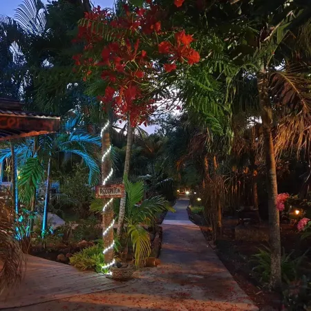 Caraib'Bay Hotel