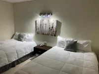 Yolotl Sleep Experience - Homestays