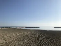 Hotel Mediterraneo Hotels in Colonnella