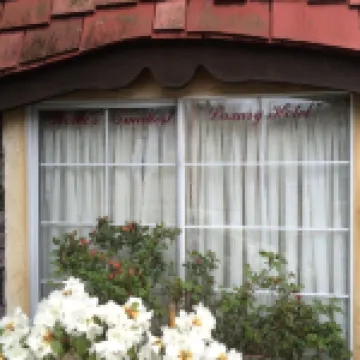 Little Inn on Willow