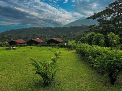 Arenal Roca Lodge Hotels in 