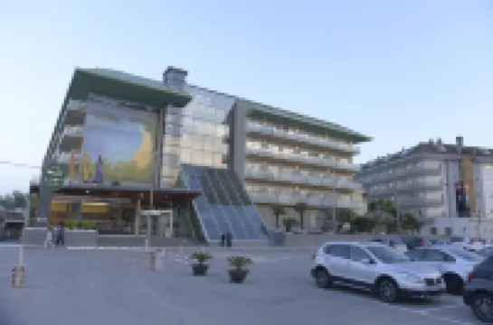 ALEGRIA Caprici Verd