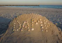 Cozy tent roof house for up to 6 people, free WLAN, fenced property