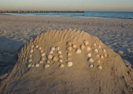 Cozy tent roof house for up to 6 people, free WLAN, fenced property